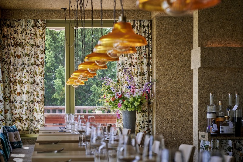 Aifach – Vegan Restaurant in Arosa